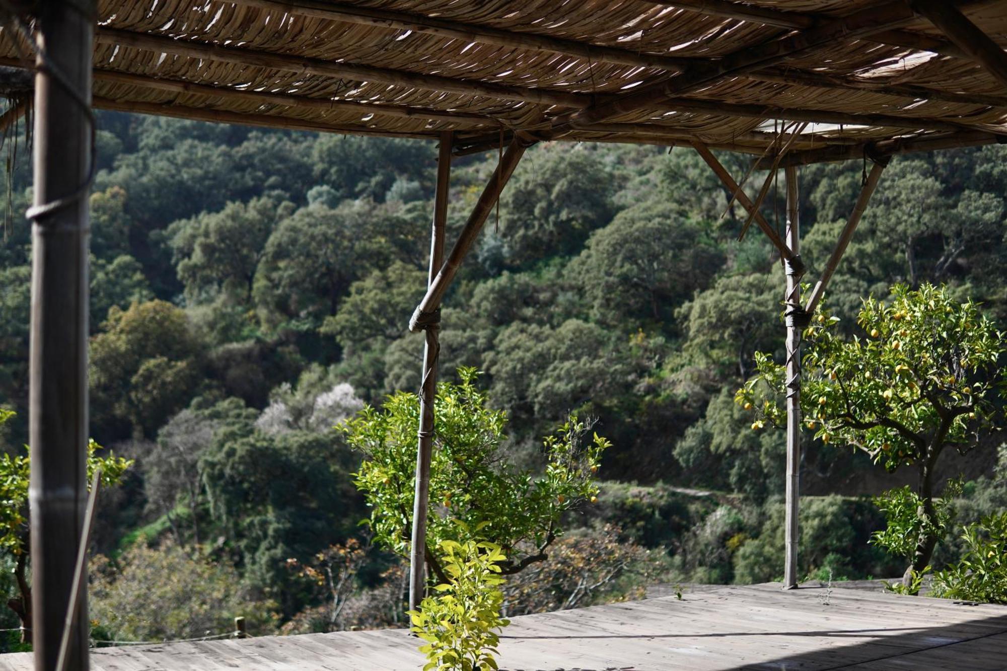 The4Elements Bed & Breakfast Monda Luaran gambar