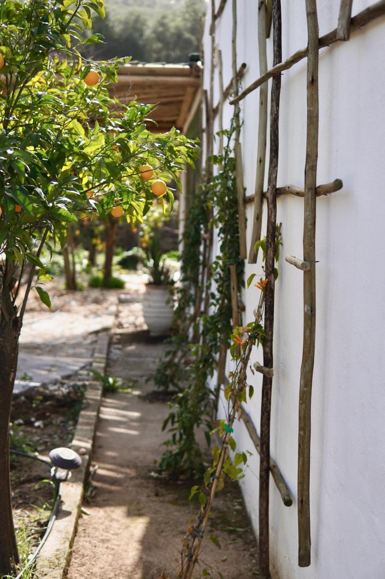 The4Elements Bed & Breakfast Monda Luaran gambar