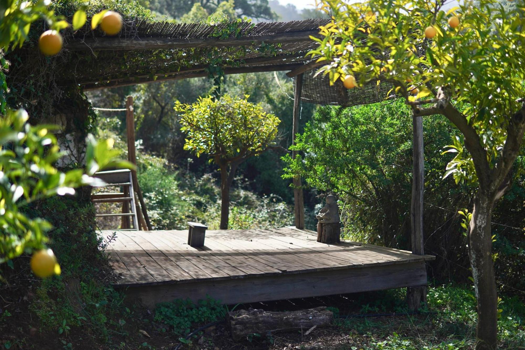 The4Elements Bed & Breakfast Monda Luaran gambar